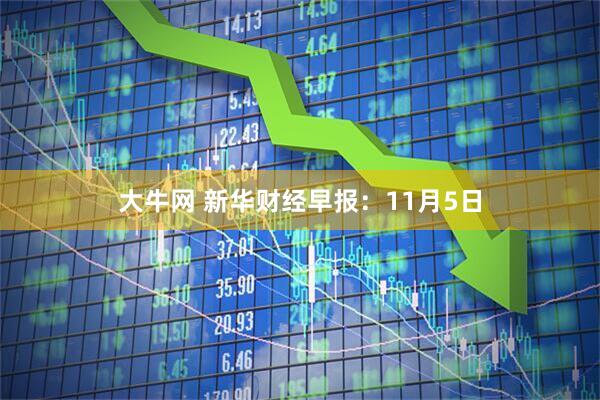 大牛网 新华财经早报：11月5日